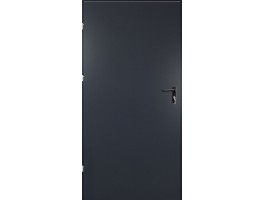 Двери ЕВРОПА RAL 42 Техно